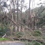 La Chapelle-des-Pots 22/09/2015