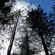 Silly-en-Gouffern 25/09/2015