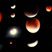 La Forêt-de-Tessé 28/09/2015