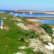 Île-Molène 30/09/2015