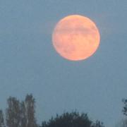 Briosne-lès-Sables 26/10/2015