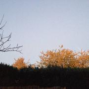 Charleroi 01/11/2015