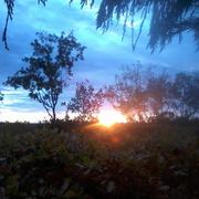 Molières 02/11/2015