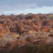 Montbouton 03/11/2015