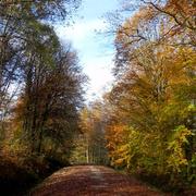 Grandpré 09/11/2015