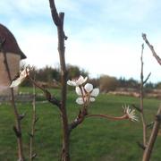 Champlitte 10/11/2015