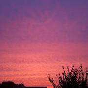 Érondelle 21/11/2015