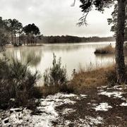 La Jemaye 23/11/2015