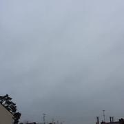 Châteaubriant 24/11/2015