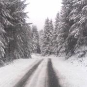 Saint-Prix 25/11/2015