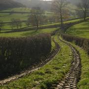 Saint-Bonnet-des-Bruyères 02/12/2015