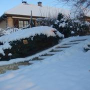 La Celle-Saint-Cyr 21/12/2009