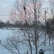 Saint-Pierre-des-Nids 21/12/2009