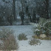 Nueil-les-Aubiers 21/12/2009