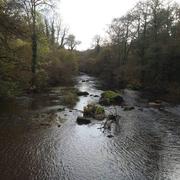 Le Vieux-Marché 21/12/2015