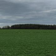 Bain-de-Bretagne 25/12/2015