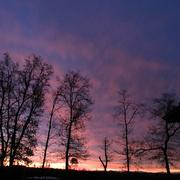 Saint-Pierre-du-Mont 28/12/2015