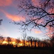 Saint-Avit-Rivière 30/12/2015