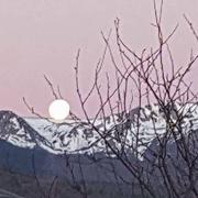 Quérigut 31/12/2015