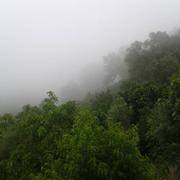 Aïn Draham 06/01/2016