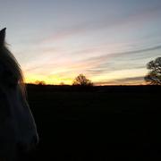 Vicq-Exemplet 07/01/2016