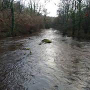 Le Vieux-Marché 09/01/2016