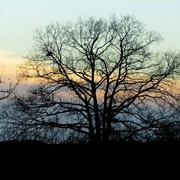 Saint-Aignan 12/01/2016