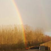 Clermont-en-Argonne 12/01/2016