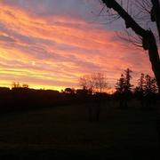 Beaumont-de-Lomagne 15/01/2016