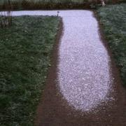 Laigné-en-Belin 15/01/2016