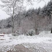 Saint-Martin-d'Auxy 15/01/2016