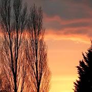 Saint-Aignan 17/01/2016