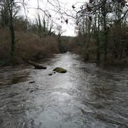 Le Vieux-Marché 19/01/2016