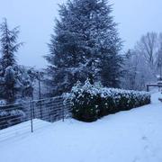 Génolhac 19/01/2016