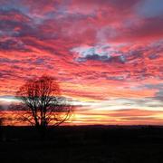 Saint-Priest-les-Fougères 22/01/2016