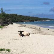 Port-Louis 23/01/2016