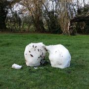 Ticheville 25/01/2016