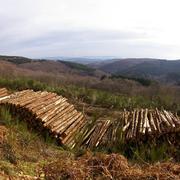 Glux-en-Glenne 27/01/2016