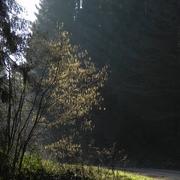 Sommerance 28/01/2016