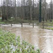 La Chaize-le-Vicomte 08/02/2016