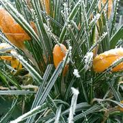 Saint-Maurice-des-Lions 18/02/2016