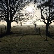 Chéronvilliers 19/02/2016