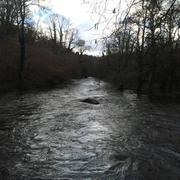 Le Vieux-Marché 28/02/2016