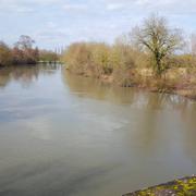 La Chapelle-aux-Choux 01/03/2016