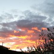 Chiré-en-Montreuil 01/03/2016