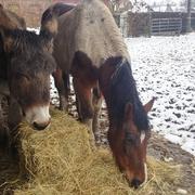 Honnecourt-sur-Escaut 05/03/2016