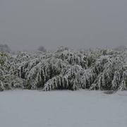 Châtillon-sur-Cher 05/03/2016