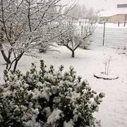 Beaulieu-sur-Loire 05/03/2016