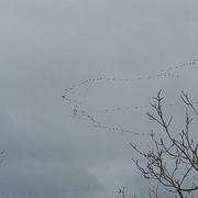 Le Lonzac 05/03/2016