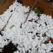 Saint-Martin-d'Auxy 06/03/2016